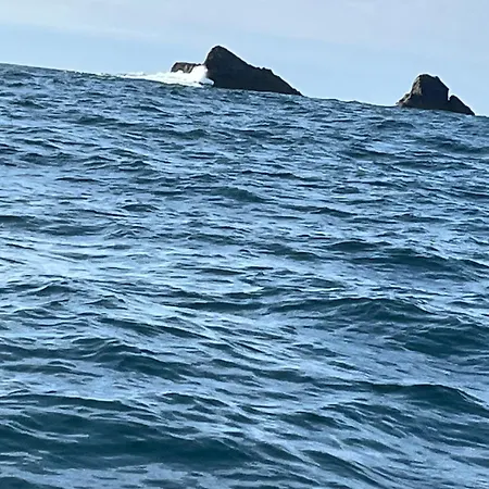 Anchor's Away * Леттеркенни