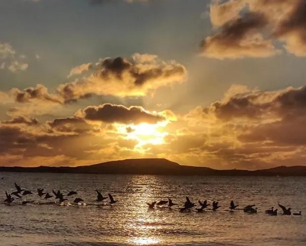 Tatil Evi Anchor's Away