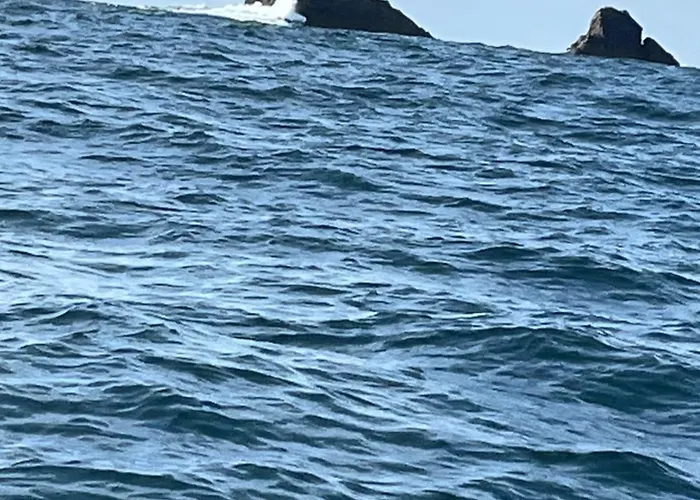 Anchor's Away * レタケニー